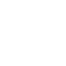 viz
