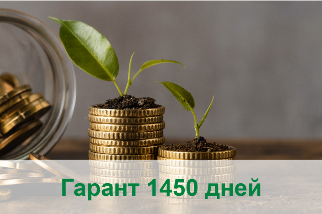 garant_1450.jpg